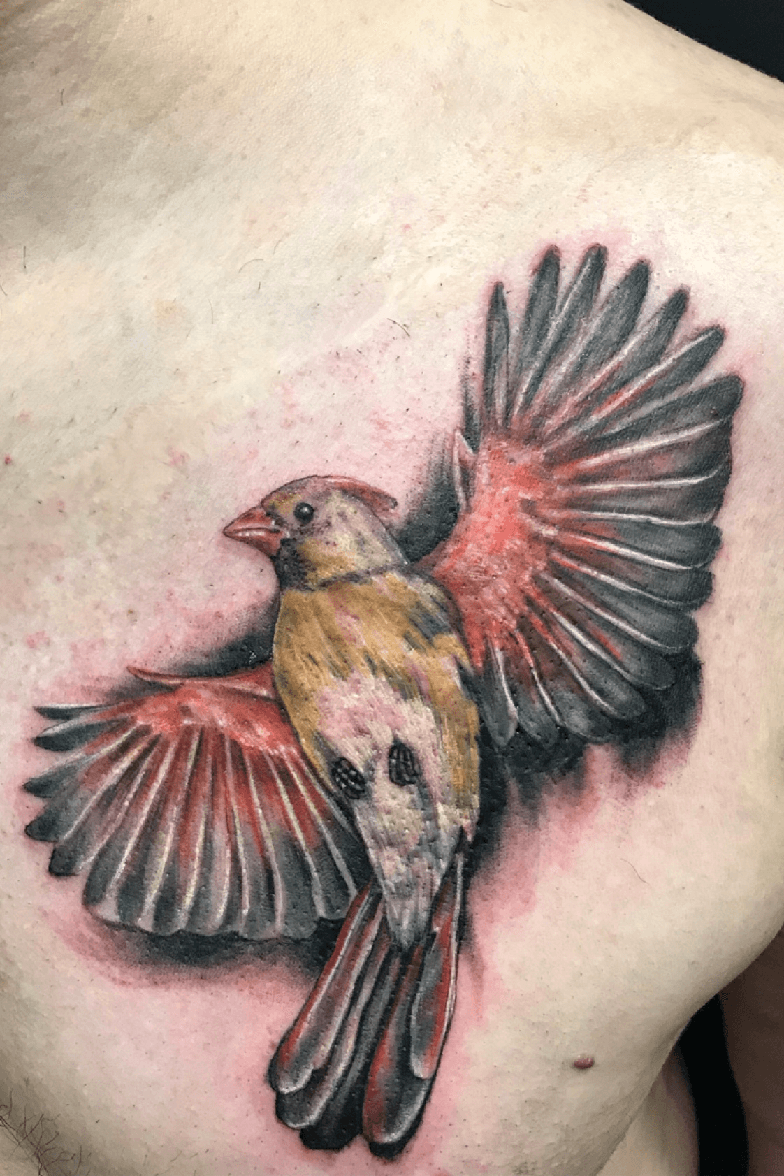 Flying Cardinal Bird Tattoo Design by Seven44