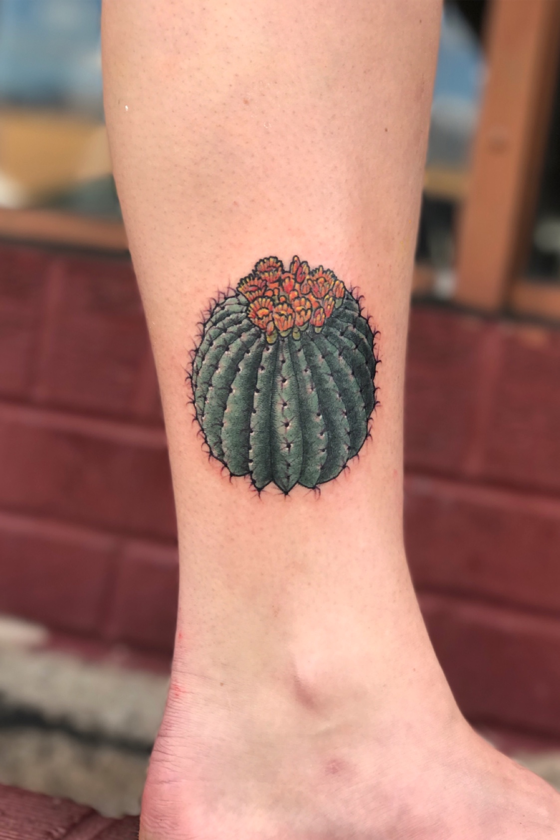 82 Thorny Cactus Tattoo Ideas To Get This Year