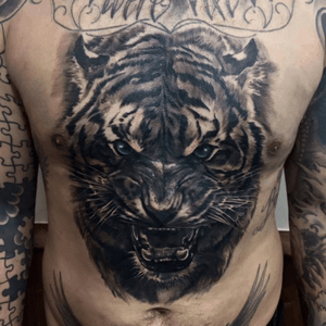 Massive #tigertattoo by the great Adem Tattoo (Fat Fugu UK), powered by my client Sorry Mom tattoo #aftercare ----------------------------------------------------------- For the best tattoo aftercare on the market visit www.sorrymomshop.com #WeAreSorryMom #TattooCare #TattooAftercare #TattooCream #TattooLotion #TattooBalm #tattoosofig #besttattoos #besttattooartists  #tattoos #ink #amazingink #bnginksociety #tattooink #tattooist #tattooing #tattooed #tattooartist #MarketInk 
