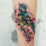 #tattoo by #SmelWink @smelwink in #watercolor #bird on a #branch - #victimsofink #melbourne #Australia 