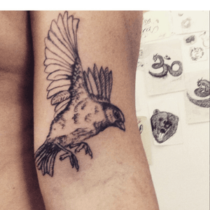 #new#me#self-tattoo#tattoo #bird #for#my#brother #self#tattoo#let's start#workinprogress #sardegna #sardinia