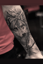 Tattoo lobo