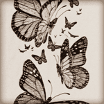 Would love to have two of the large butterflies with three smaller ones around it, on my ribs except full colour. #megandreamtattoo 