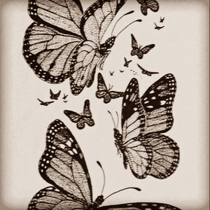 Would love to have two of the large butterflies with three smaller ones around it, on my ribs except full colour. #megandreamtattoo