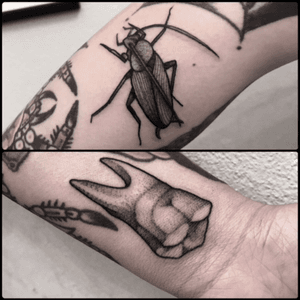 #black #cockroach #tooth #tattoo #blackwork #totemica #ontheroad 