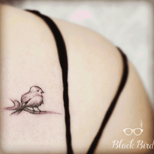 Luiza.blackbird #luiza #delicate #simplistic #bird 