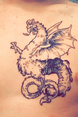 cockatrice (half lizard half chicken, turns you into stone, look it up its cool) drawn by my sister done by artist Rachel Ann