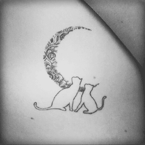  #cats #moon #graphic #blackAndWhite #family #tattoo #tattooart