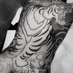 @delight_tattoo_needles #tiger #ryu #delightneedles #irezumism #picoftheday #reclaimthedots #irezumistudy #video #videooftheday #japan #japantattoo #dragon #babes #inkedbabes #awesome #best #backpack #backpiece #tora #tattoo #tattoolife #traditional #irezumism #ink #reclaimthedots #tattoodo #art #wabori