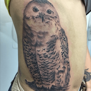 Owl tattoo done at Mystery Ink. #owl #owltattoo #blackandgrey #blackandgreytattoo 