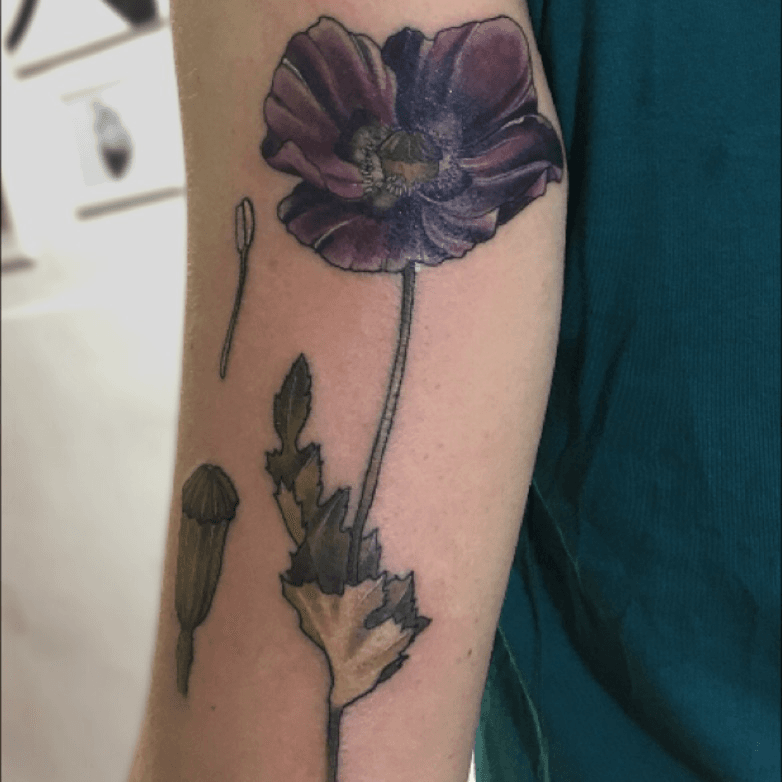 Anatomicum Tattoo Artist Katy Wiedemann Translates Science to Skin and  Paper  Female Tattooers
