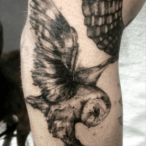 @tofutatu #tofutatu #owl #blackngrey #wings #elbow 