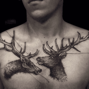 Stag chest piece #deer #tattoo #stag 