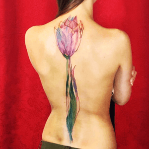 #cover up#tulip 