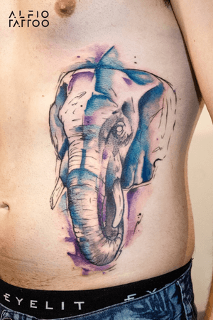 Elephant by Alfiotattoo in Tattoo Show Argentina!!!#Elephant #Elefante #sketch #tattoolife #inked #argentinatattoo #tattoo #eternalink #alfiotattoo  #design #designtattoo #watercolor #watercolortattoo #sketchtattoo #santelmo #buenosaires #argentina #tattooshow2018