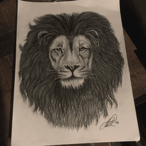 Lion drawing i did a week or two ago. #art #drawing #sketch #tattoo #artist #apprentice 
