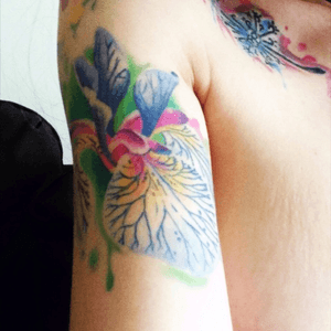Working on my sleeve #iris #iristattoo #flowertatoo #watercolortartoo #colorfultattos #tattoomywholebody 