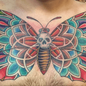 By Alan Jones. Mandala moth.