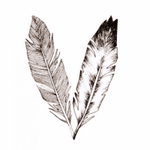 Plume #draw #feather #plume #poignet #tattoo #black #white #realistic 