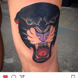 Panther knee bange 