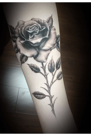Rose for Kylie #tylercicali #ghostwolftattoo #tattooer #rose #blackandgray #realism