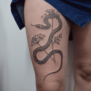 Garter snake & hemlock 