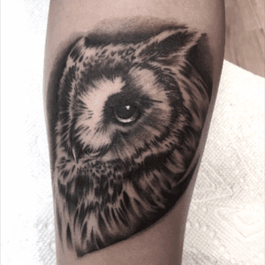 Black and grey owl #blackandgrey #owl 