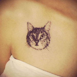 🐱 #kitten #tattoo #bymehmetmetin #theinklabcustomtattoo