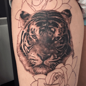 Tiger 🐯 ! #tiger #tigertattoo #animaltattoo #realism #blackandgrey #blackandgreyrealism  #uktattoo #uktattooartist #tattoo #animal 