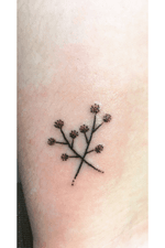 This is my recent tattoo. Something sweet and simple. 🌿