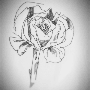  #mantis_  #roses #rose 