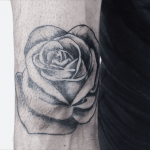 Client's desired tattoo design #dotwork #blackwork #flowertattoo #florist #tributetattoo #hktattoo #shading #rosetattoo #tattooapprentice #tattooart 
