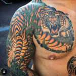 Tiger/bamboo arm and chest panel #KingsAvenueTattoo #jasonjunetattoos #jasonjune #tiger 