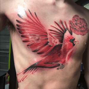 2nd session on this cardinal