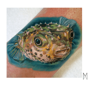 🐡 #EnyaMahuta #realism #realistic #ny #brooklyn #fish #pufferfish 