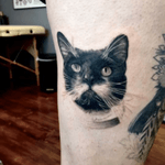 Cat tattoo for Karen :) #cat #cattattoo #hugo #blackandgrey #blackandgreytattoo #realistic #realism #pet #love #throughmythirdeye #london #uk #londonart #artist #londonartist #legtattoo 