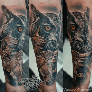 #owl #colour #barnowl #realistictattoo #realistic #realism #realismtattoo