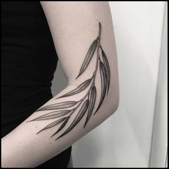 Pin by Эл М on Tattoo  Willow tree tattoos Small forearm tattoos Vine  tattoos