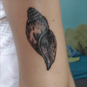 Little shell tattoo.