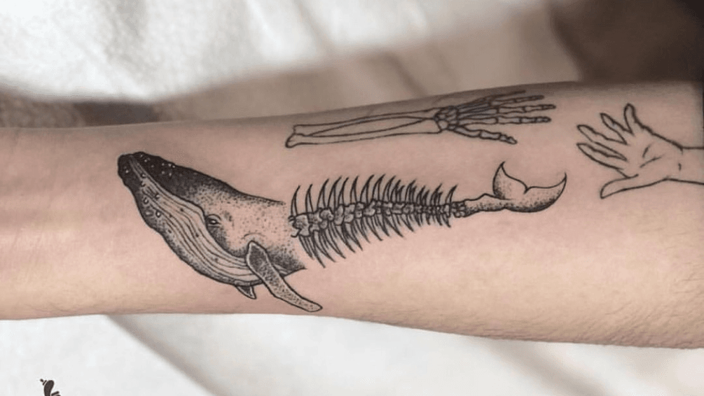 Black Ink Whale Skeleton Tattoo On Left Arm