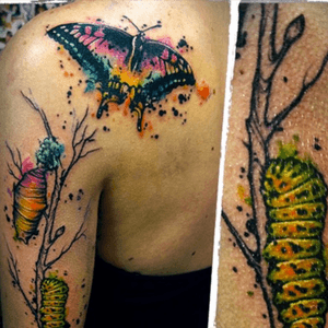 Idea of what i want but not quite. Want caterpillar to butterfly transformation. #dreamtattoo 