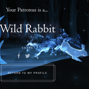 What a patronus style rabbit for next tattoo, a rabbit knocked me of my moped and broke my arm and is not my patronus. #ironic #megandreamtattoo 
