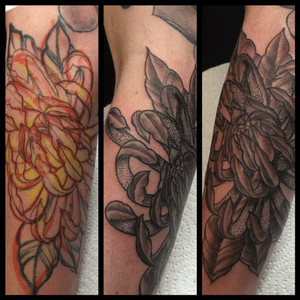 Freehand chrysanthemum tattoo done as part of a japanese sleeve #chrysanthemum #chrysanthemumtattoo #freehand #freehandtattoo #flowers #flowertattoo #blackandgrey #blackandgreytattoo 