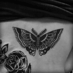 #butterfly 