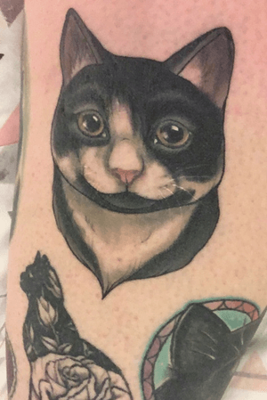Portrait of my cat Hannibal by Aimee Bray (Black Stone Tattoo, Todmorden), black silhouette cat by Marko (Sacred Art, Manchester, other cat tattoo by Beau Redman (Blue Cardinal, Todmorden).