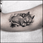#black #sleeping #dog #tattoo #blackwork #totemica #ontheroad 