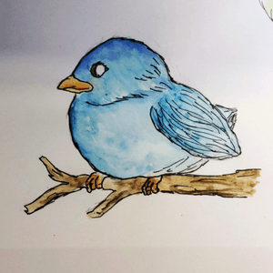 Bird drawing #bird #drawing #italy 
