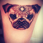 #pug #pugs #dog #dogs #animal #animals #dotwork #dots #shading #finished #scotland #stirling #studio52 #ink #inked #tattoo #tattooed #tattooedgirls #inkedgirls #beautiful #pretty #wow 