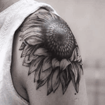 Sunflower tattoo #tattoo #tattoos #tattooart #tats #tatu #sunflower #Tattoodo #shouldertattoo #ink #inked #blackink 