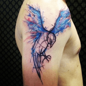 Gonna be my Next tattoo. Soon. #bird #watercolor #dreamtattoo #tattooideas 